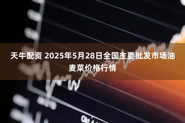 天牛配资 2025年5月28日全国主要批发市场油麦菜价格行情
