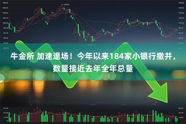牛金所 加速退场！今年以来184家小银行撤并，数量接近去年全年总量