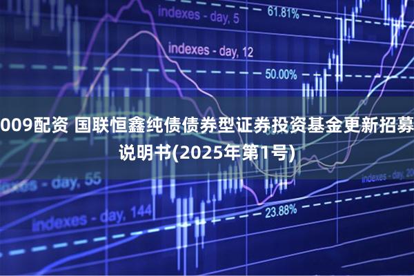 009配资 国联恒鑫纯债债券型证券投资基金更新招募说明书(2025年第1号)