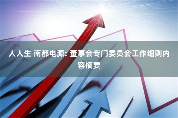 人人生 南都电源: 董事会专门委员会工作细则内容摘要