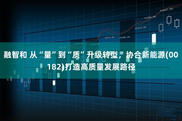 融智和 从“量”到“质”升级转型，协合新能源(00182)打造高质量发展路径