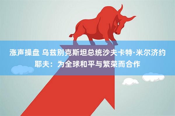 涨声操盘 乌兹别克斯坦总统沙夫卡特·米尔济约耶夫：为全球和平与繁荣而合作