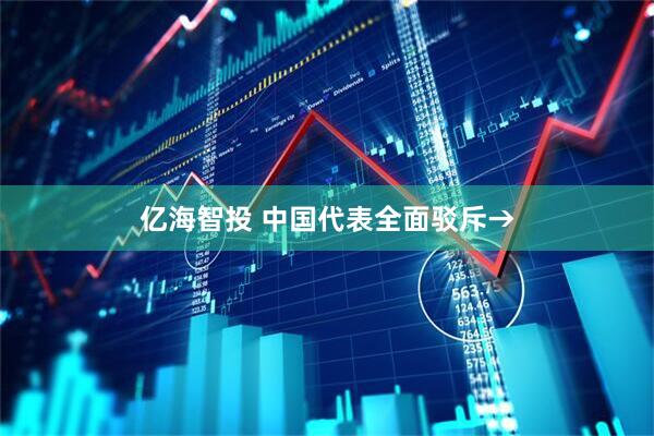 亿海智投 中国代表全面驳斥→