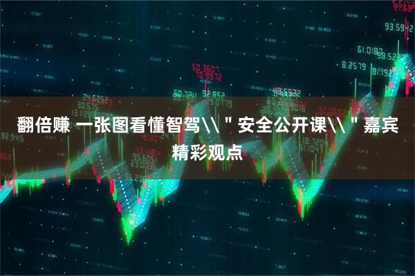 翻倍赚 一张图看懂智驾\＂安全公开课\＂嘉宾精彩观点