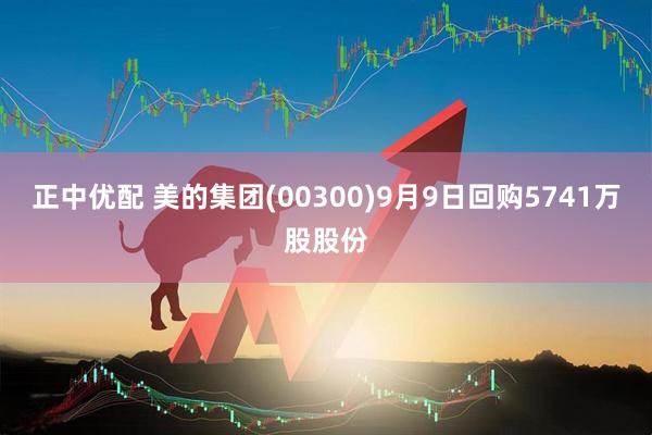 正中优配 美的集团(00300)9月9日回购5741万股股份