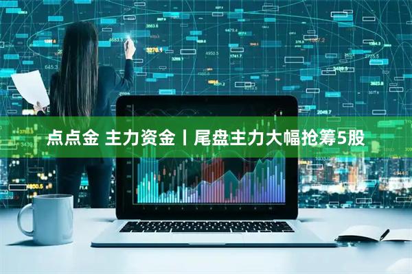 点点金 主力资金丨尾盘主力大幅抢筹5股